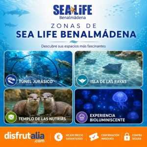 Entradas Sea Life Benalmádena desde 17 € 2