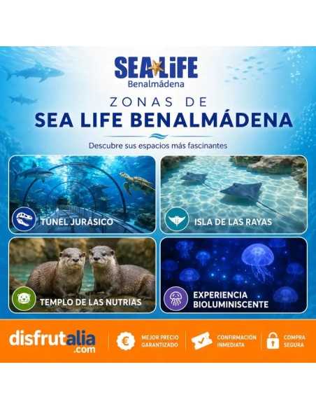 Entradas Sea Life Benalmádena desde 17 €