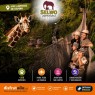 Entradas para Selwo Aventura desde 19,90 € | Descuentos