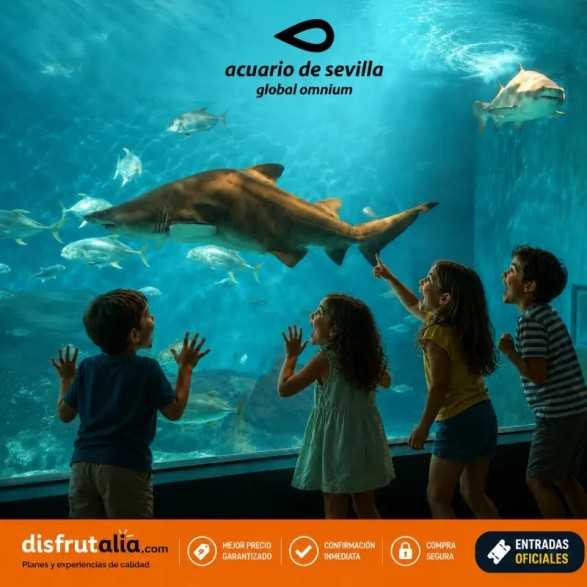 Entradas Acuario de Sevilla 12€🐠 Precios y horarios