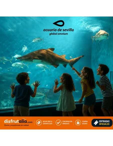 Entradas Acuario de Sevilla 12€🐠 Precios y horarios