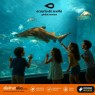 Entradas Acuario de Sevilla 12€🐠 Precios y horarios