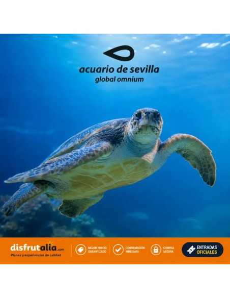 Entradas Acuario de Sevilla 12€🐠 Precios y horarios
