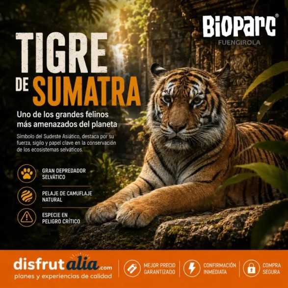 Entradas Bioparc Fuengirola desde 23 € | 2x1 y precios