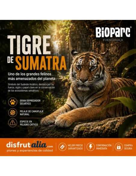 Entradas Bioparc Fuengirola desde 23 € | 2x1 y precios