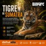Entradas Bioparc Fuengirola desde 23 € | 2x1 y precios