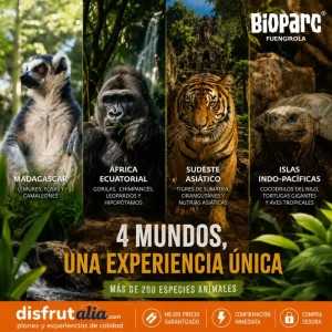 Entradas Bioparc Fuengirola desde 23 € | 2x1 y precios 2
