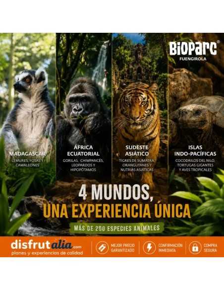 Entradas Bioparc Fuengirola desde 23 € | 2x1 y precios