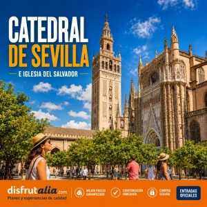 Catedral de Sevilla e Iglesia del Salvador: visita guiada