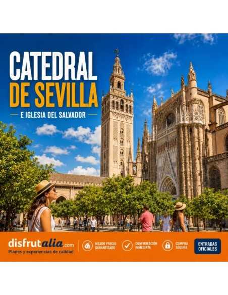 Catedral de Sevilla e Iglesia del Salvador: visita guiada