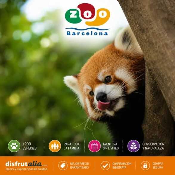 Entradas Zoo de Barcelona desde 13,90€| Precios y descuentos