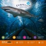 Entradas Aquarium Barcelona | Precios y ofertas