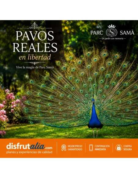 Entradas Parc Samà | Precios y ofertas
