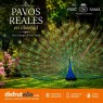Entradas Parc Samà | Precios y ofertas