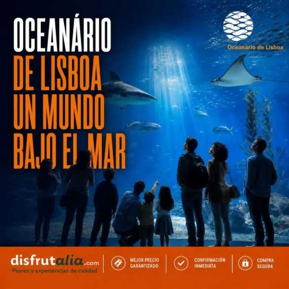 Entradas Oceanário de Lisboa | Precios y horarios