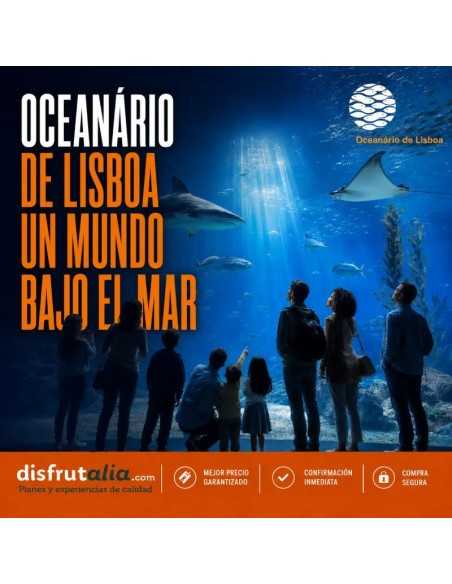 Entradas Oceanário de Lisboa | Precios y horarios