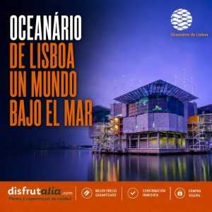 Entradas Oceanário de Lisboa | Precios y horarios 2