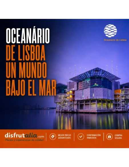 Entradas Oceanário de Lisboa | Precios y horarios