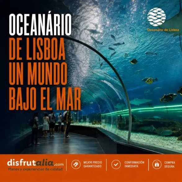 Entradas Oceanário de Lisboa | Precios y horarios