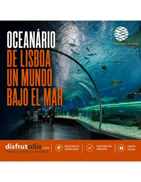 Entradas Oceanário de Lisboa | Precios y horarios