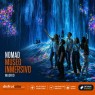 NOMAD MUSEO INMERSIVO - Descubre los packs familares