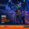 NOMAD MUSEO INMERSIVO - Descubre los packs familares