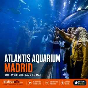 Entradas Atlantis Aquarium desde 10,90 €🎟️🐟37% Dto