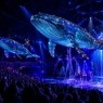 Entradas CIRCO ALEGRIA desde 16,50€ Hasta 40% Descuento