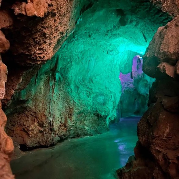 Cuevas Canelobre visita guiada desde Alicante desde 49€
