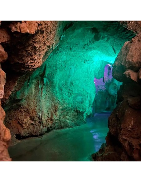 Cuevas Canelobre visita guiada desde Alicante desde 49€
