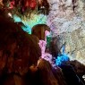 Cuevas Canelobre visita guiada desde Alicante desde 49€