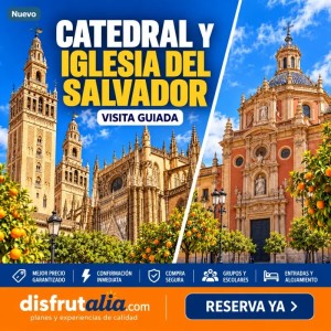 Catedral de Sevilla e Iglesia del Salvador: visita guiada