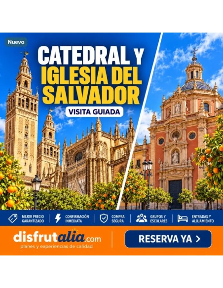 Catedral de Sevilla e Iglesia del Salvador: visita guiada