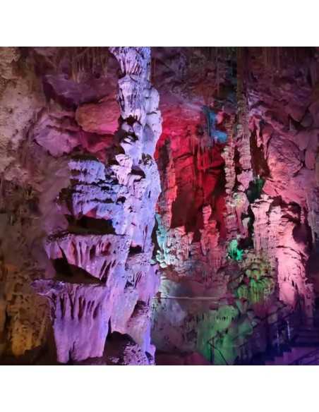 Cuevas de Canelobre excursión desde Benidorm sólo 59€