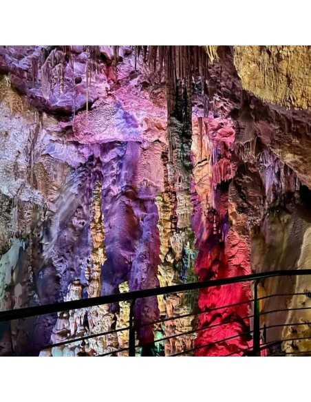 Cuevas de Canelobre excursión desde Benidorm sólo 59€