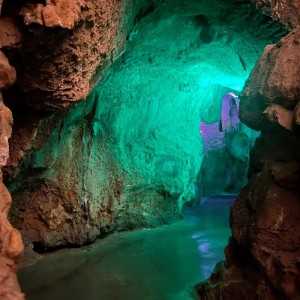 Cuevas de Canelobre excursión desde Benidorm sólo 59€