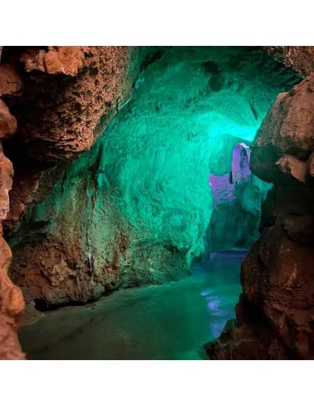 Cuevas de Canelobre excursión desde Benidorm sólo 59€