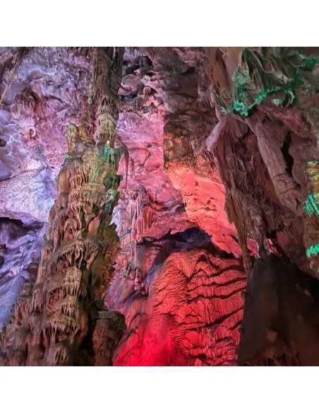 Cuevas de Canelobre excursión desde Benidorm sólo 59€