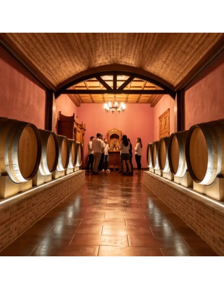 Visita Bodega en Alicante | Experiencia Premium 7 Catas