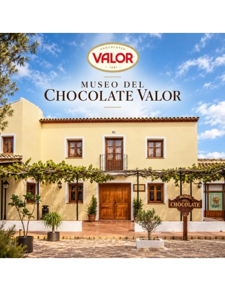 Visita guiada Guadalest y Museo Chocolate Valor Tour| 65 €