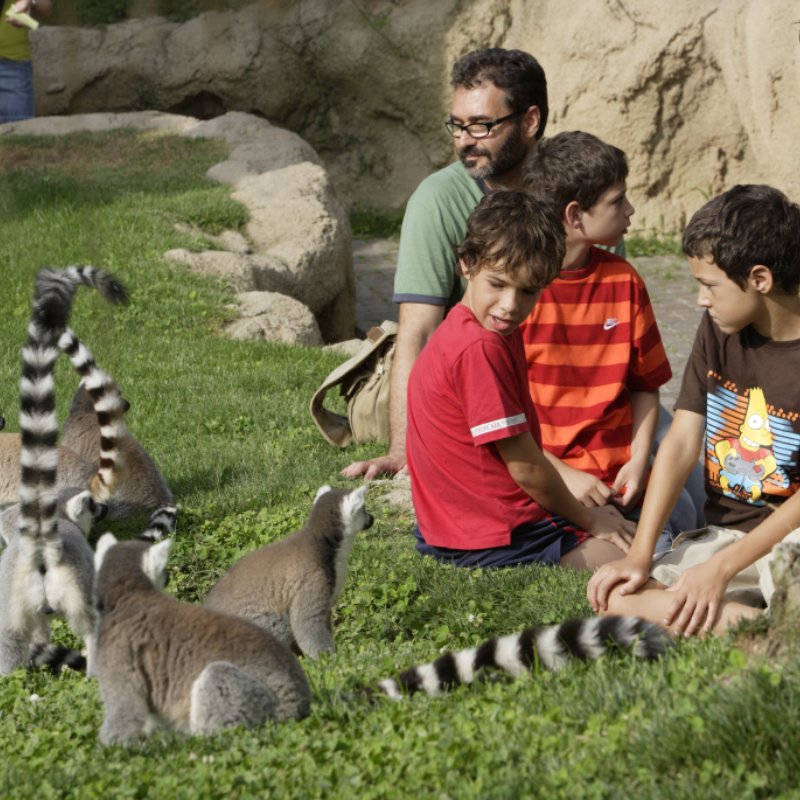 Bioparc Valencia entradas