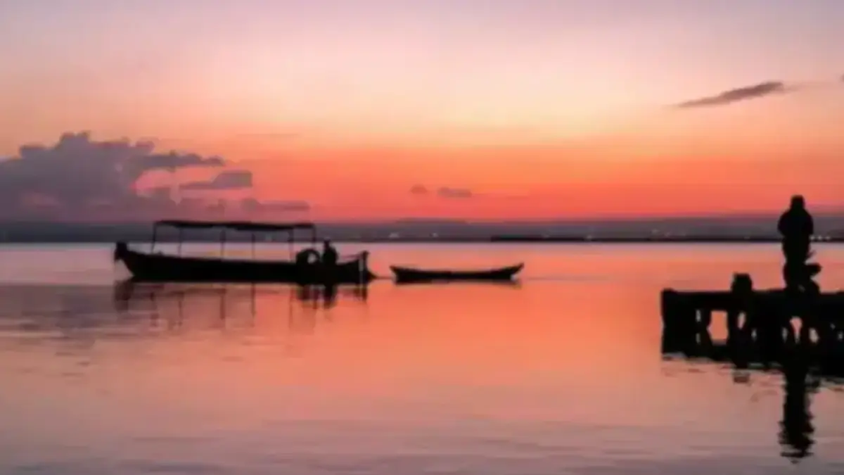 Que hacer en Valencia - Excursión a la Albufera
