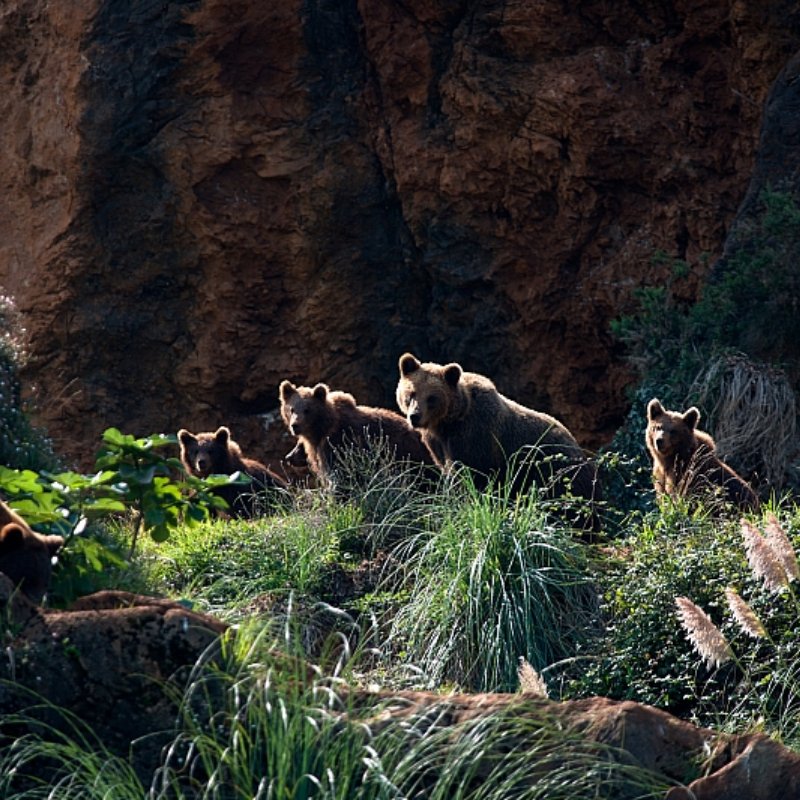 PARQUE CABARCENO - Parque de la Naturaleza - Entradas online desde 25€