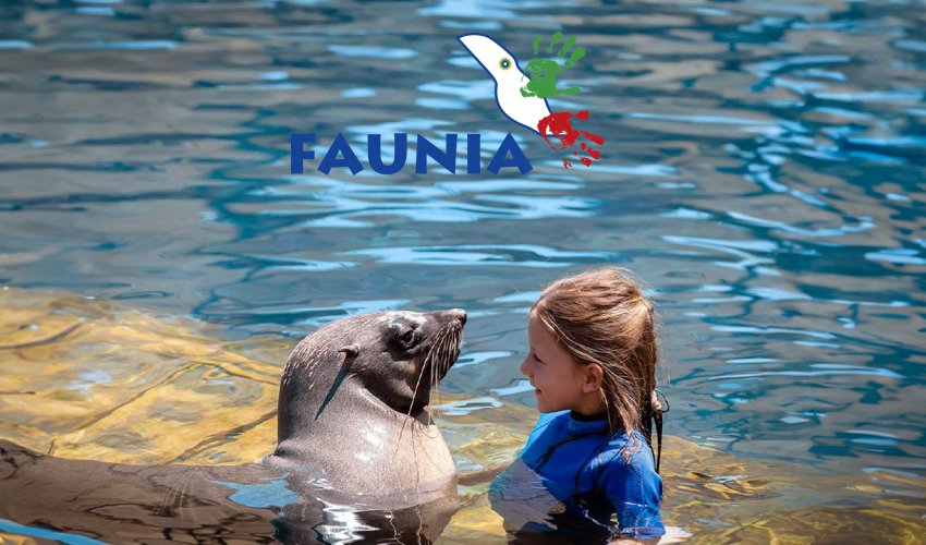 Faunia niños viendlo los delfines