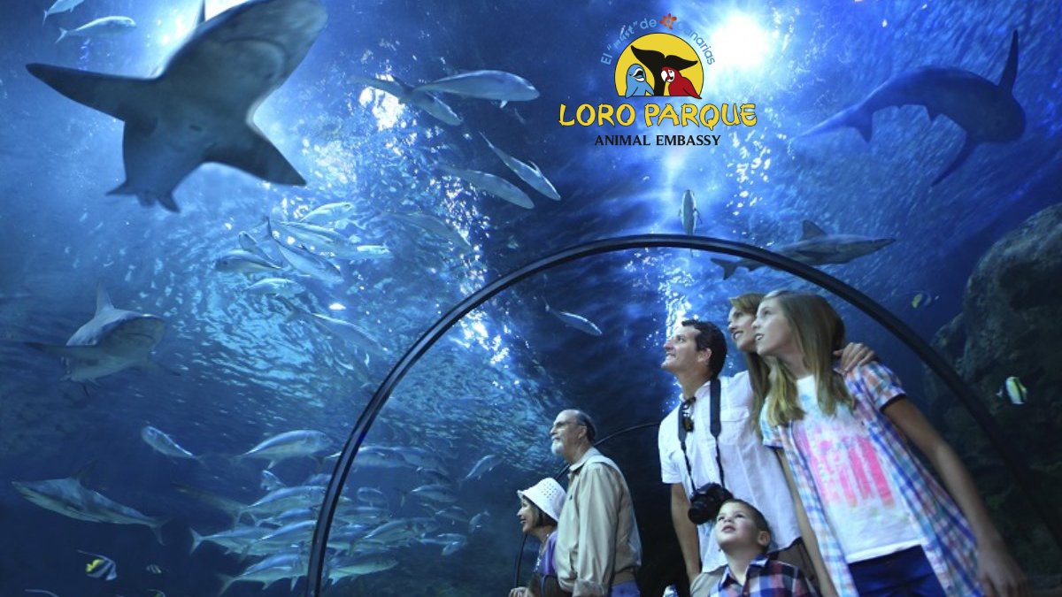 Loro Parque Tenerife