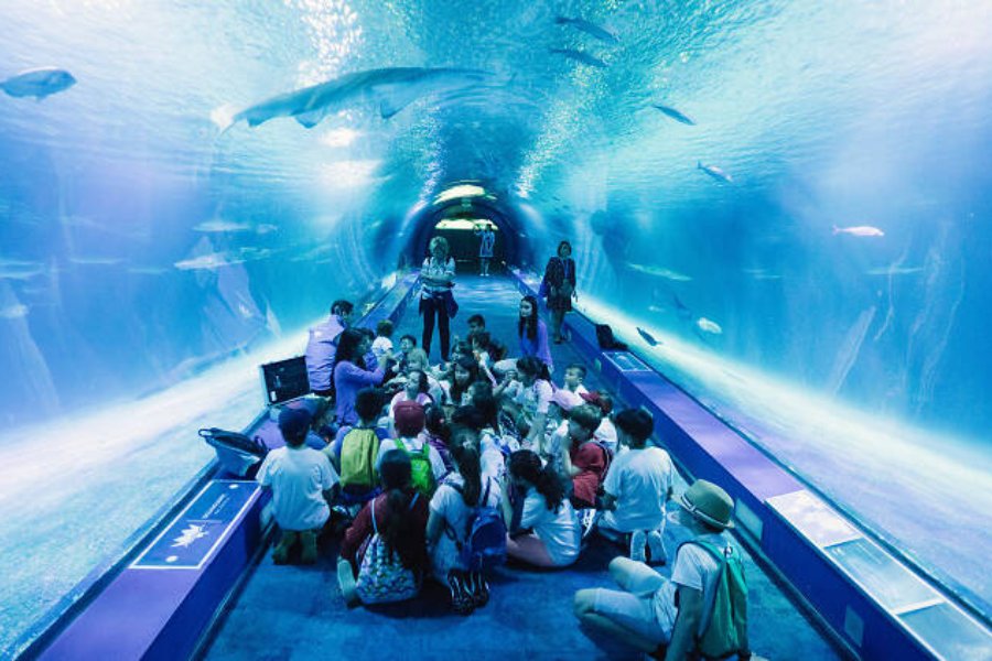 Oceanografic