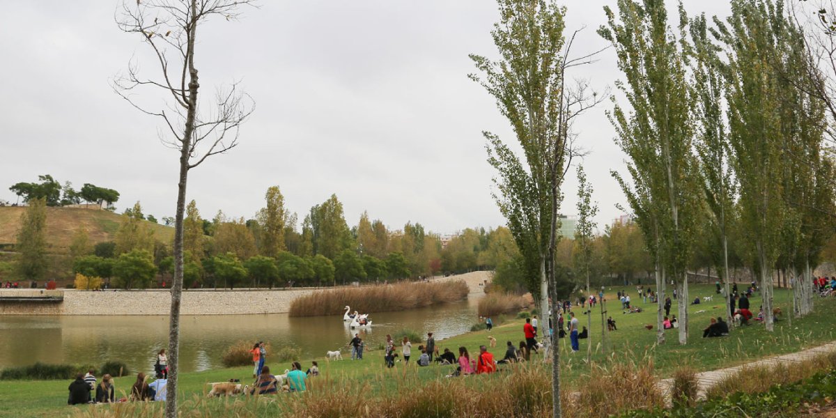 Parque de Cabecera Valencia
