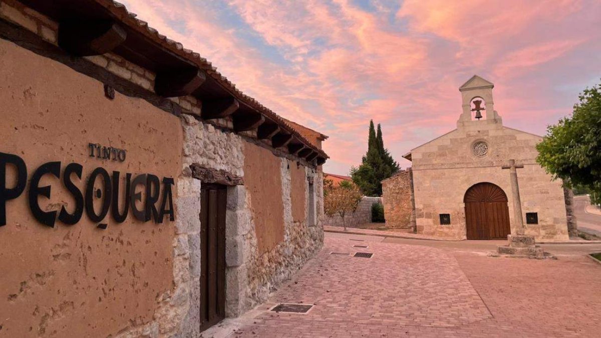 Que hacer en Madrid - Cata de vino y Enoturismo en una bodega