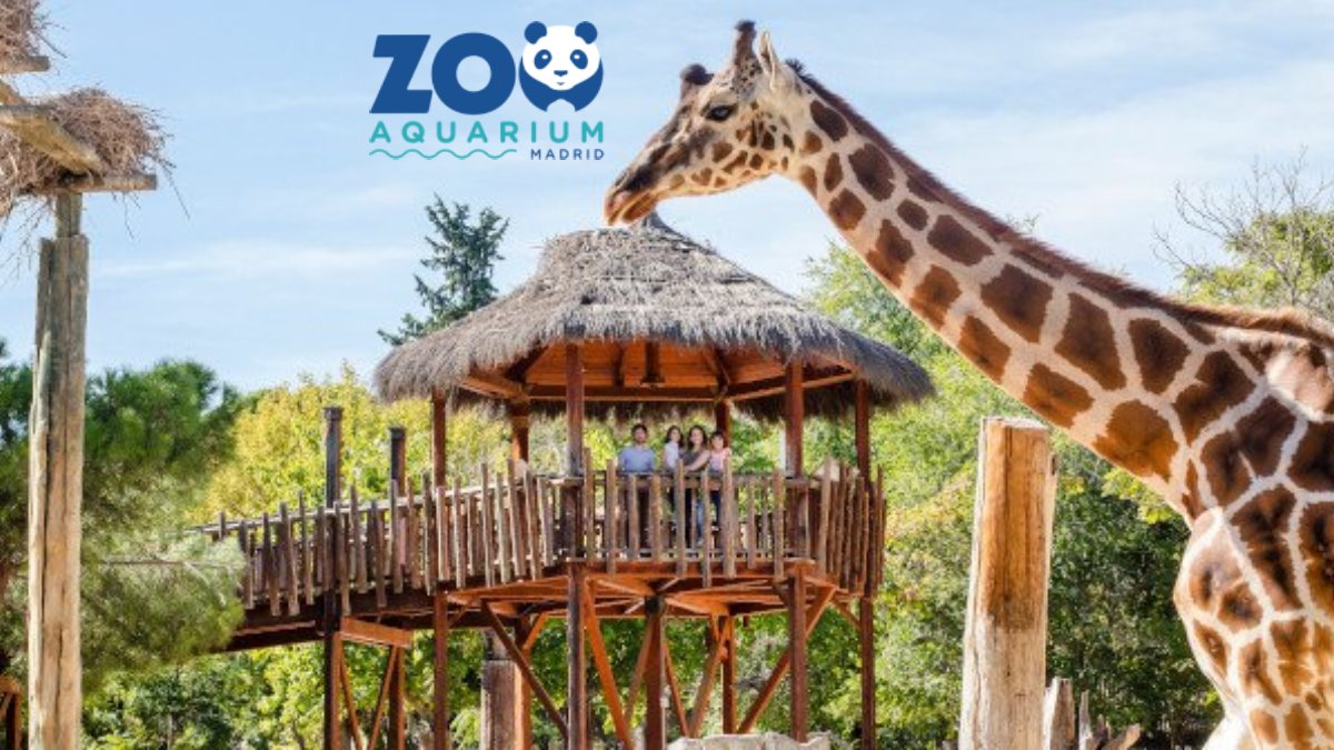 Zoo Aquarium de Madrid