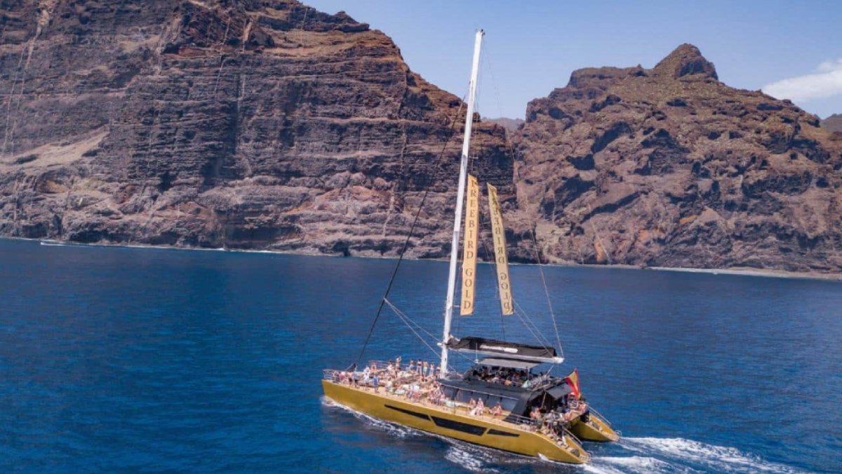 Que hacer en Tenerife - Avistamiento de Cetáceos en Los Gigantes en catamarán